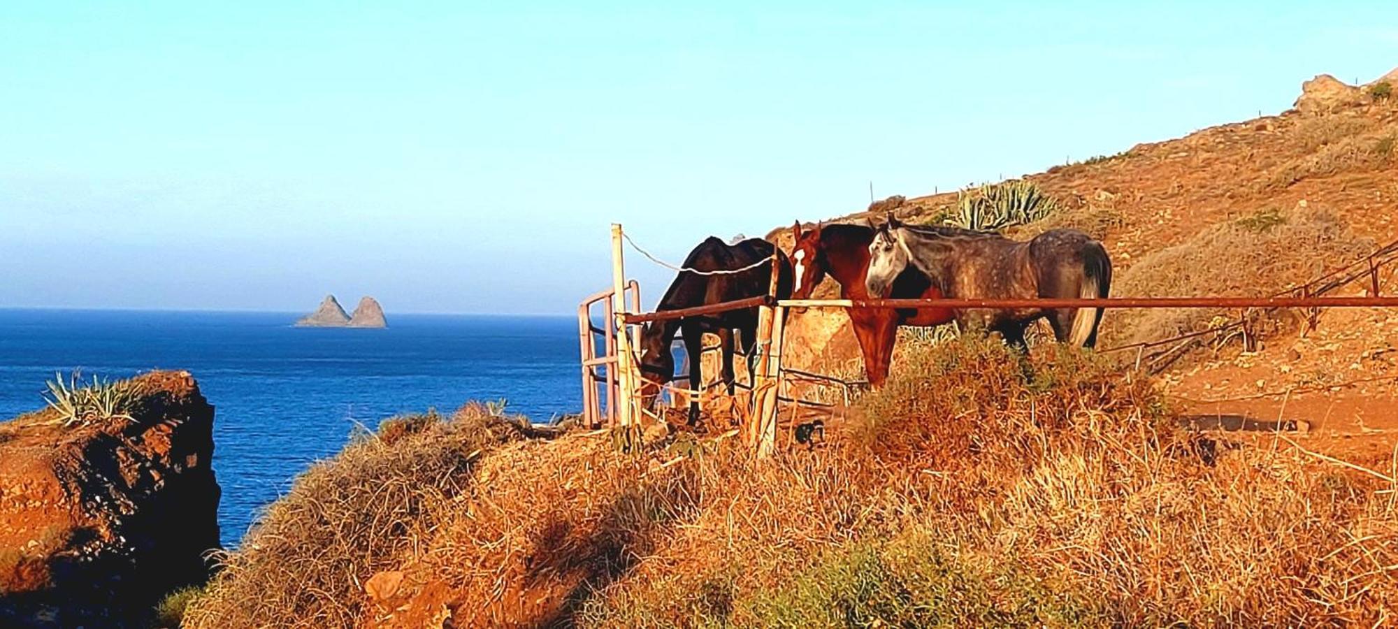 Casa Tucho Paraiso Sea Sound Santa-Cruz de Ténérife Extérieur photo